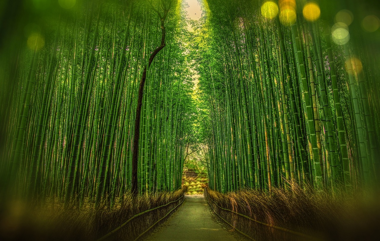 小性格 第3页